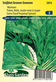 Snijbiet Groene Gewone