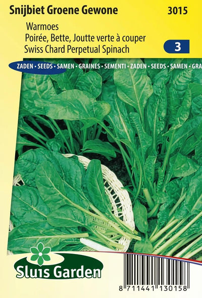 Snijbiet Groene Gewone
