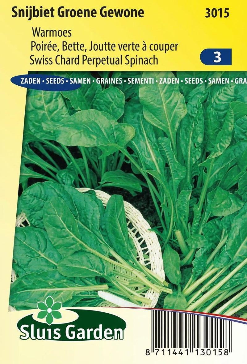 Snijbiet Groene Gewone