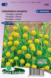 Pineapples, geurend (Cephalophora)