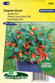 Paprika (pot) Tangerine Dream