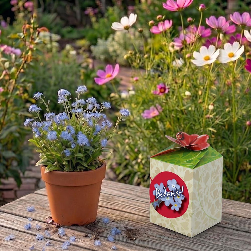 Greengift Vergeet-me-niet / Bedankt!