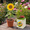 Greengift Zonnebloem / Bedankt!