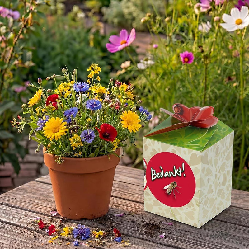 Greengift Bijenmengsel BIO / Bedankt!