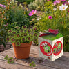 Greengift Klavertje vier / YES Geslaagd!