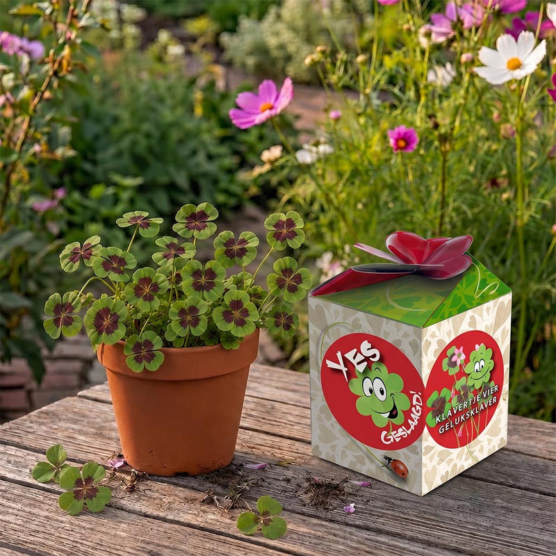 Greengift Klavertje vier / YES Geslaagd!
