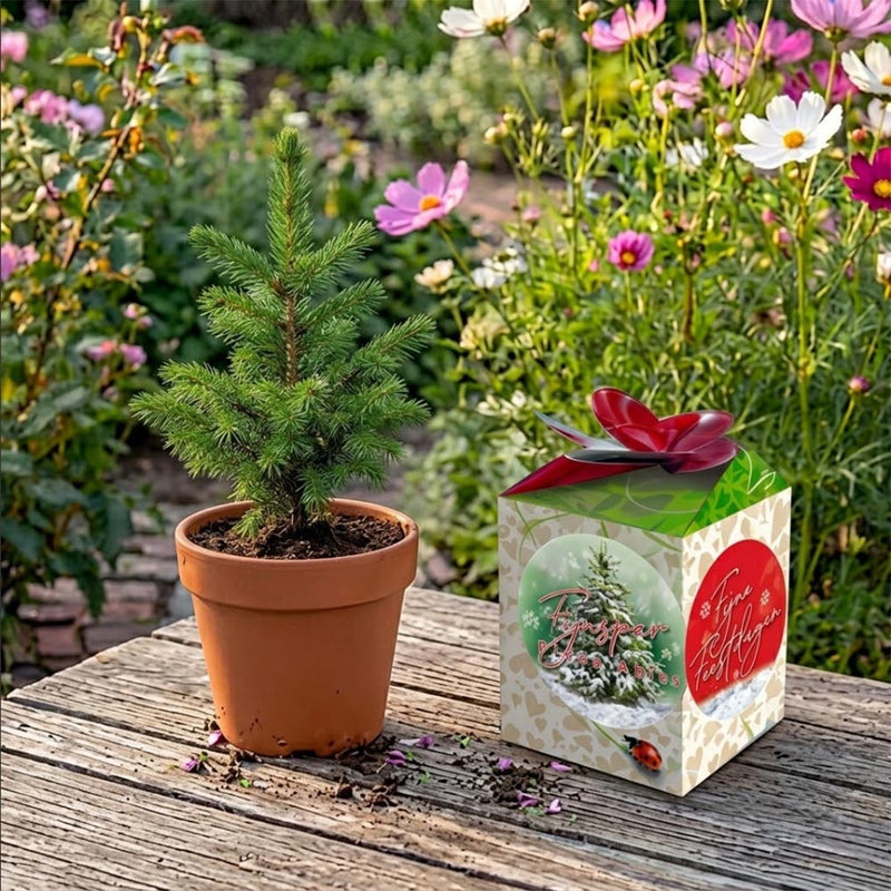 Greengift Fijnspar/ Fijne Feestdagen