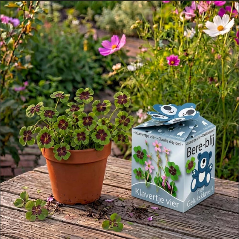 Greengift Happy Bear blauw