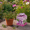 Greengift, Happy-Bear roze 40 stuks in showdoos