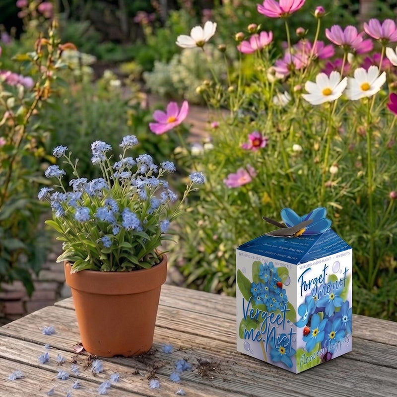 Greengift Vergeet me niet