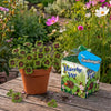 Greengift Klavertje Vier met label GESLAAGD