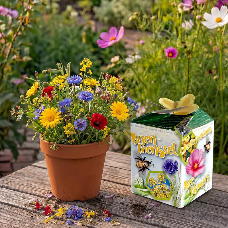 Greengift, Bijenmengsel 40 stuks in showdoos