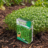 Tuinkers gewone Maxi-Pack
