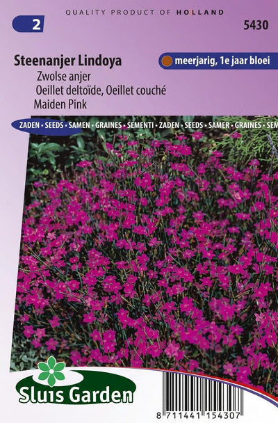 Zakje Zwolse anjer-zaden van Sluis Garden.
