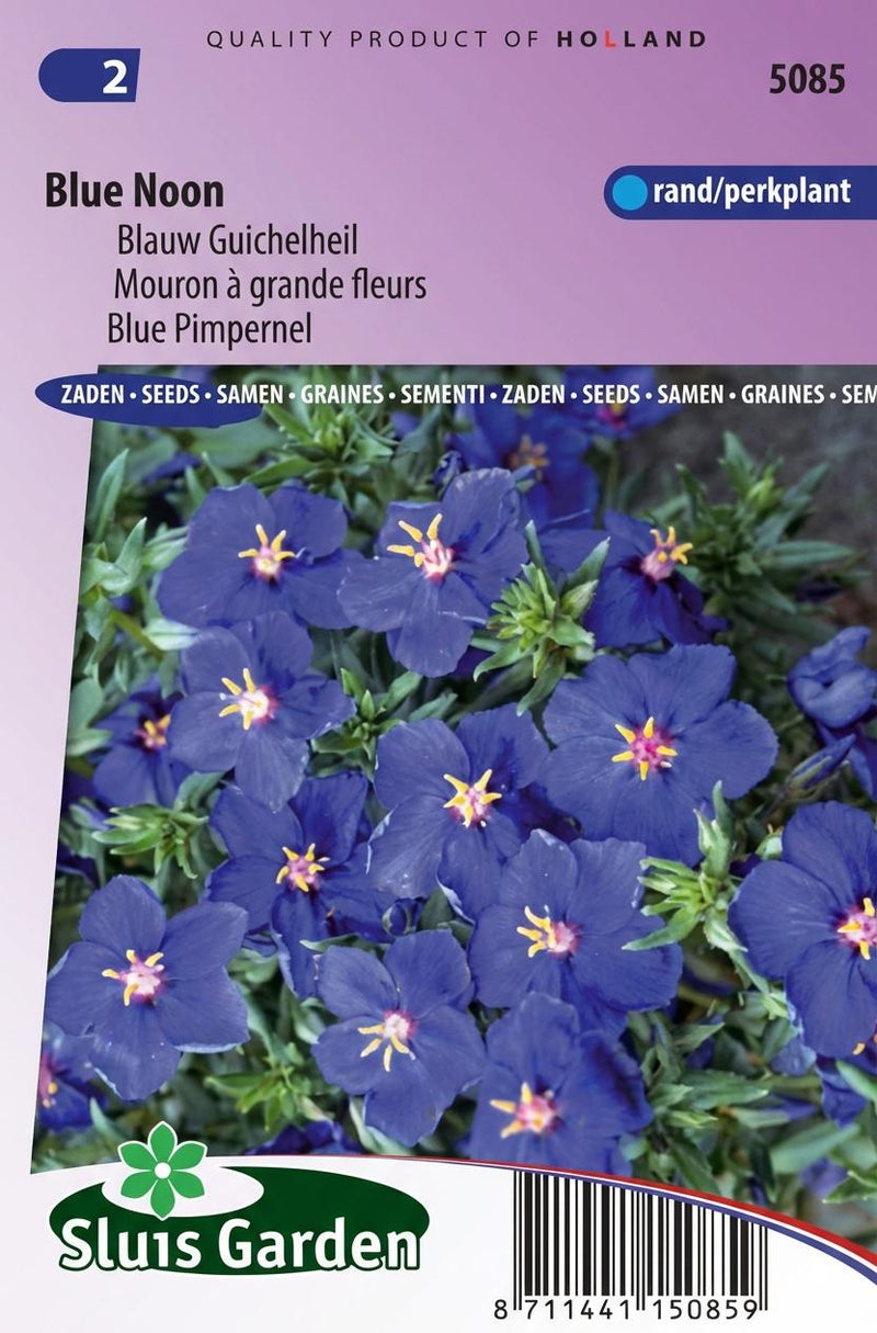 Zakje zaden voor Blauw Guichelheil van Sluis Garden.