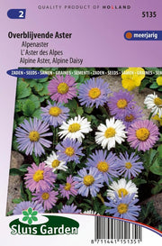Aster overblijvende gemengd (Alpenaster)