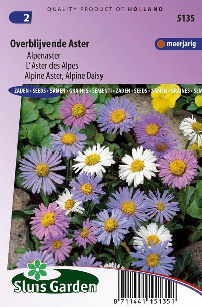 Aster overblijvende gemengd (Alpenaster)