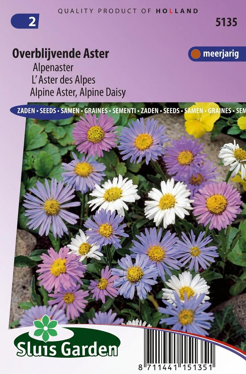 Aster overblijvende gemengd (Alpenaster)