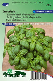 Basilicum Grove (Ocimum basilicum)