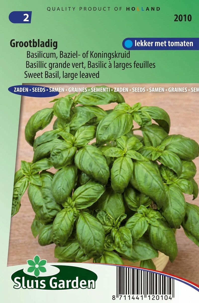 Basilicum Grove (Ocimum basilicum)