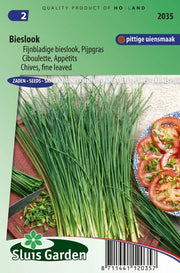 Bieslook Fijne (Allium schoenoprasum)