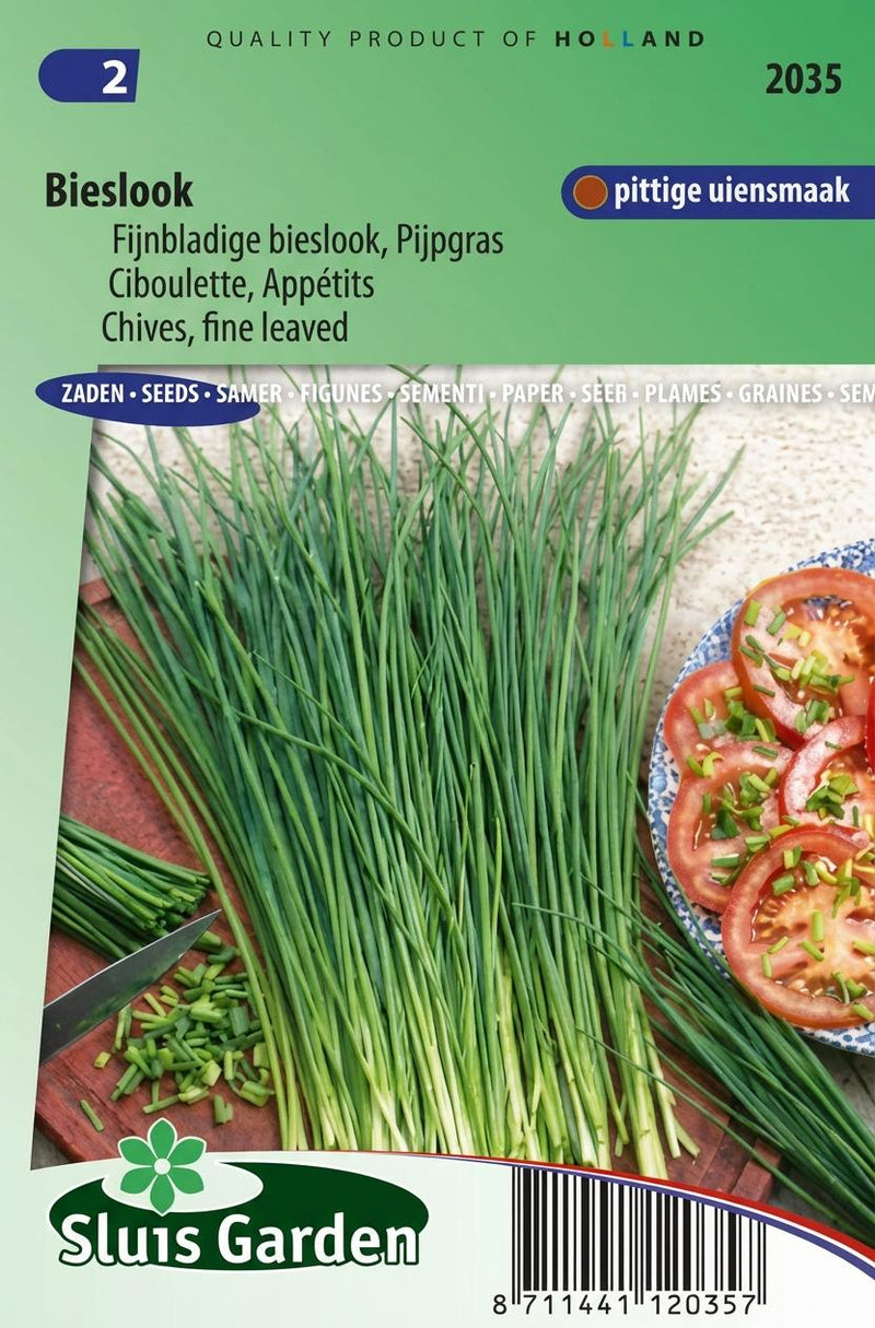 Bieslook Fijne (Allium schoenoprasum)