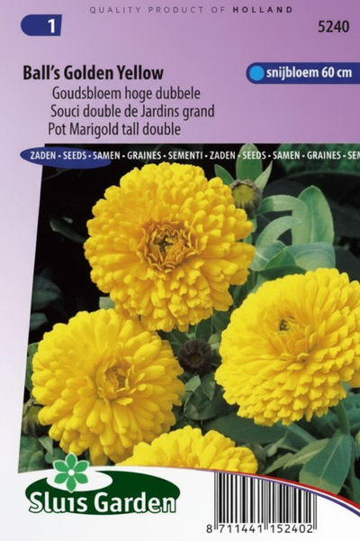 Goudsbloem Ball's Golden Yellow