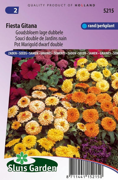 Goudsbloem Fiesta Gitana mix