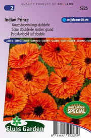 Goudsbloem Indian Prince, dubbelbloemig