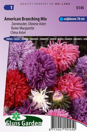 Aster Amerikaanse Struik Mix (Zomeraster)