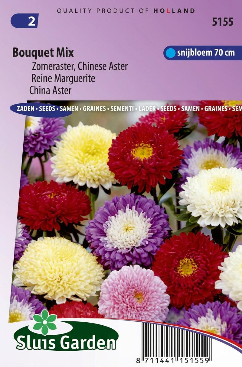 Aster Boeket (Zomeraster)