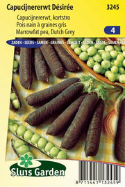 Capucijners Désirée