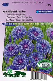 Korenbloem Blue Boy, dubbelbloemig