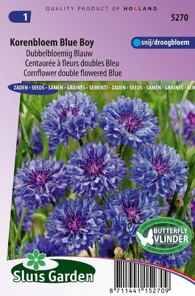 Korenbloem Blue Boy, dubbelbloemig