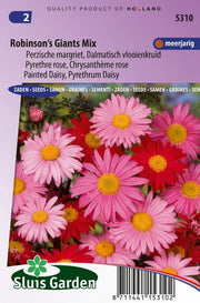 Margriet Robinson's Giants Mix (Perzische margriet)