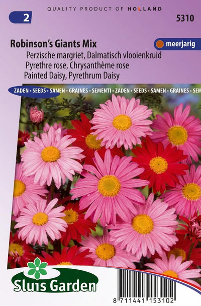Margriet Robinson's Giants Mix (Perzische margriet)
