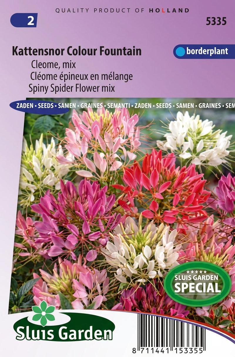Zakje Cleome-kattensnorzaden van Sluis Garden.