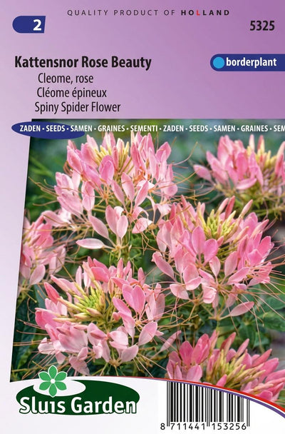 Kattensnor Rose Beauty (Cleome)