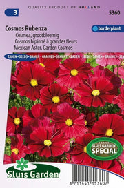Cosmos Rubenza Fleuroselect Novelty