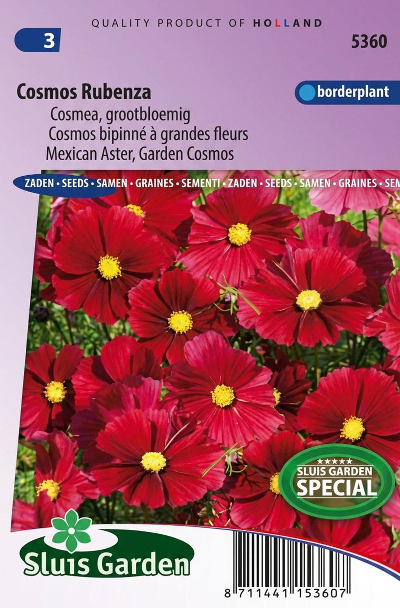 Cosmos Rubenza Fleuroselect Novelty