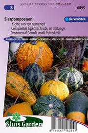 Sierkalebassen, kleine vruchten gemengd (Cucurbita)