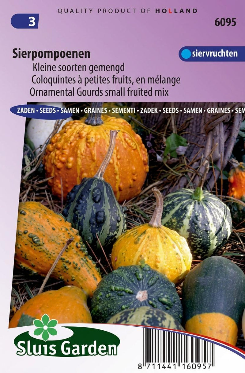 Sierkalebassen, kleine vruchten gemengd (Cucurbita)