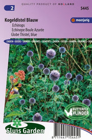 Kogeldistel blauw (Echinops)