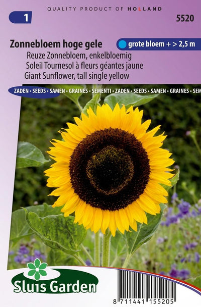 Zonnebloem Hoge gele