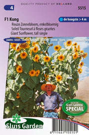 Zonnebloem Kong F1 (Helianthus)