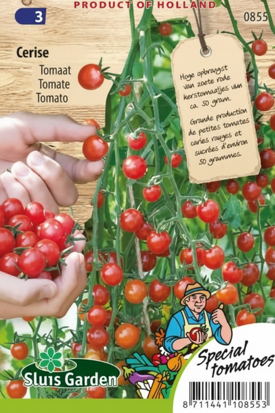 Tomaat Cerise