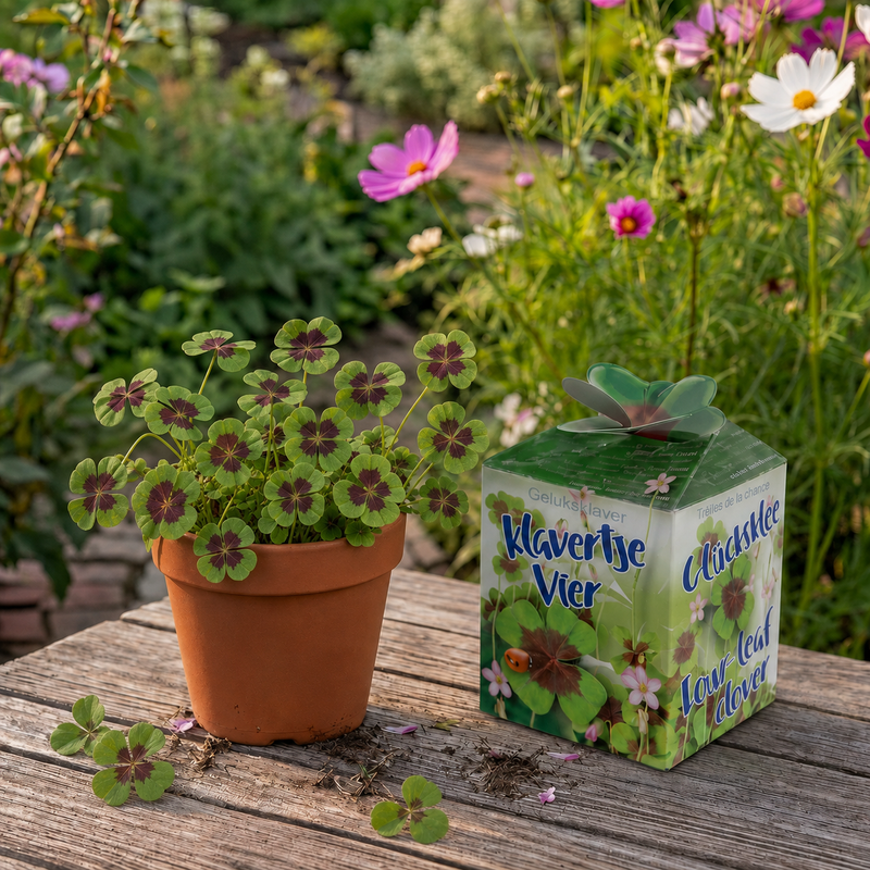 Greengift Klavertje vier