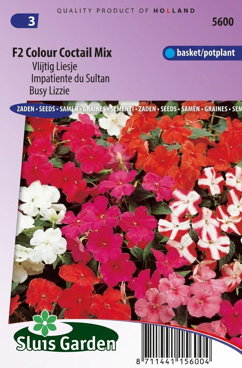Vlijtig liesje (Impatiens F2 Colour Cocktail)