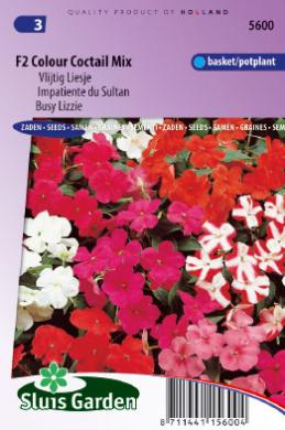Vlijtig liesje (Impatiens F2 Colour Cocktail)