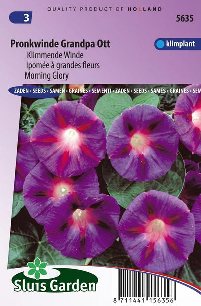 Klimmende Winde Grandpa Ott (Ipomoea)